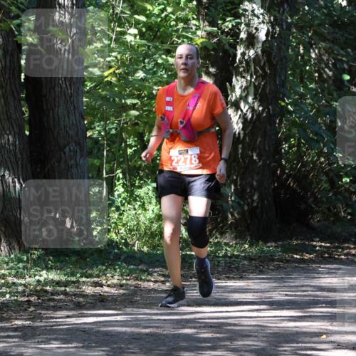 28.09.2025 - 33. Volkslauf durch das schöne Alstertal Strokosch-Dieckow http://msf.ph/oto/8974747 28.09.2025 12:59:36 Laufen 2278 meine-sportfotos.de
