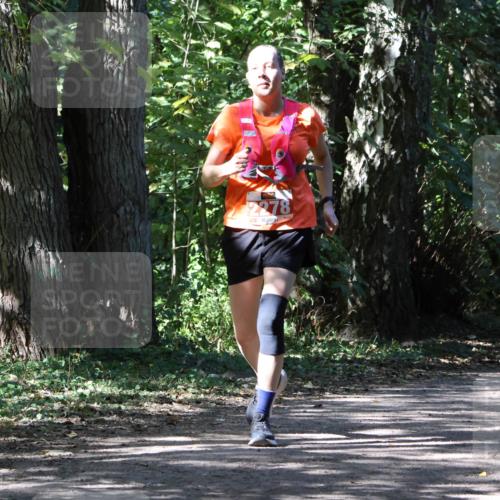 28.09.2025 - 33. Volkslauf durch das schöne Alstertal Strokosch-Dieckow http://msf.ph/oto/8974751 28.09.2025 12:59:36 Laufen 2278 meine-sportfotos.de