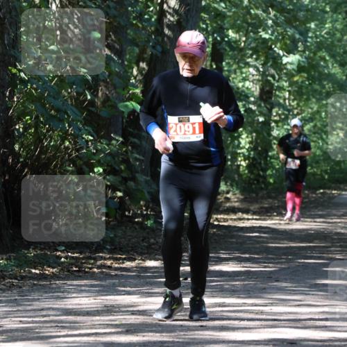 28.09.2025 - 33. Volkslauf durch das schöne Alstertal Strokosch-Dieckow http://msf.ph/oto/8974753 28.09.2025 13:00:03 Laufen 2091 meine-sportfotos.de