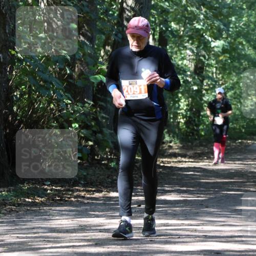 28.09.2025 - 33. Volkslauf durch das schöne Alstertal Strokosch-Dieckow http://msf.ph/oto/8974754 28.09.2025 13:00:03 Laufen 2091 meine-sportfotos.de