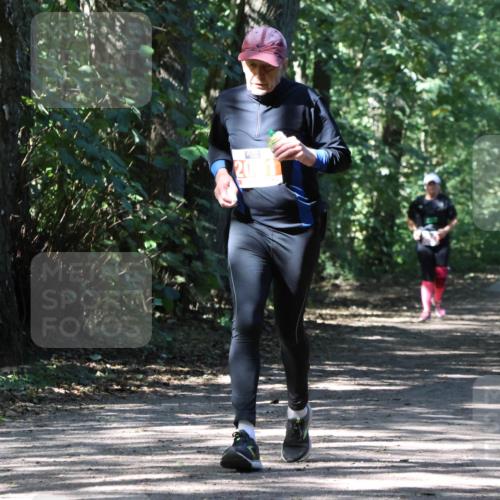 28.09.2025 - 33. Volkslauf durch das schöne Alstertal Strokosch-Dieckow http://msf.ph/oto/8974755 28.09.2025 13:00:03 Laufen 2001 meine-sportfotos.de