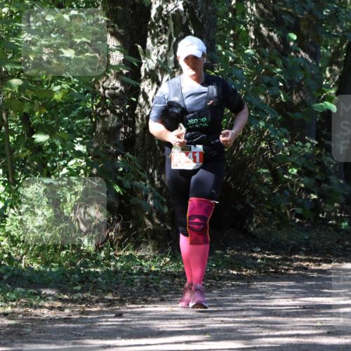 28.09.2025 - 33. Volkslauf durch das schöne Alstertal Strokosch-Dieckow http://msf.ph/oto/8974760 28.09.2025 13:00:14 Laufen 41 meine-sportfotos.de