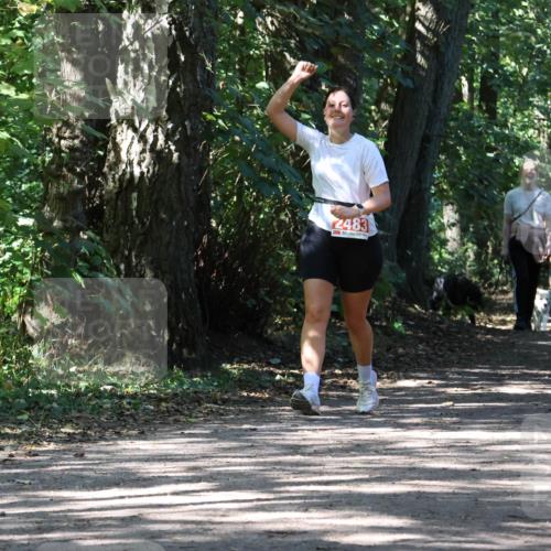 28.09.2025 - 33. Volkslauf durch das schöne Alstertal Strokosch-Dieckow http://msf.ph/oto/8974776 28.09.2025 13:01:48 Laufen 2483 meine-sportfotos.de