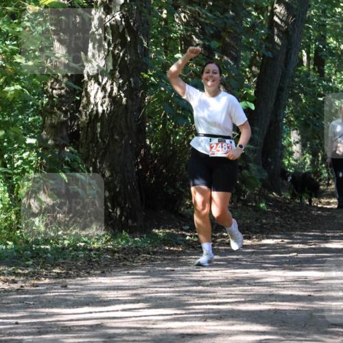 28.09.2025 - 33. Volkslauf durch das schöne Alstertal Strokosch-Dieckow http://msf.ph/oto/8974778 28.09.2025 13:01:48 Laufen 2483 meine-sportfotos.de