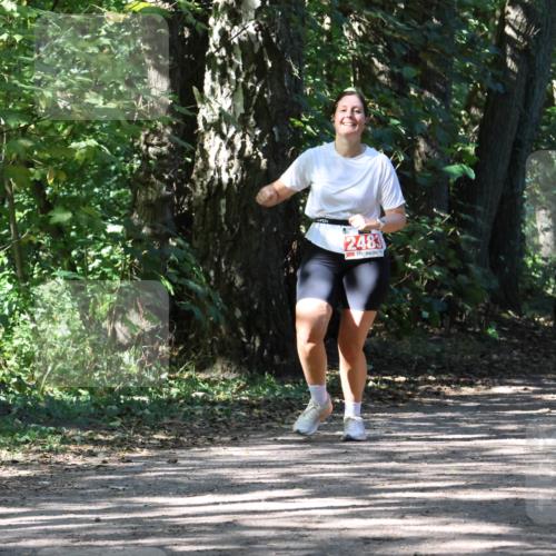 28.09.2025 - 33. Volkslauf durch das schöne Alstertal Strokosch-Dieckow http://msf.ph/oto/8974785 28.09.2025 13:01:48 Laufen 2483 meine-sportfotos.de