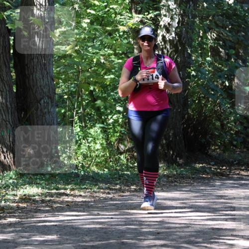 28.09.2025 - 33. Volkslauf durch das schöne Alstertal Strokosch-Dieckow http://msf.ph/oto/8974787 28.09.2025 13:02:23 Laufen 14 meine-sportfotos.de