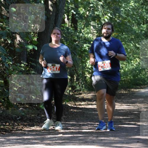 28.09.2025 - 33. Volkslauf durch das schöne Alstertal Strokosch-Dieckow http://msf.ph/oto/8974803 28.09.2025 13:03:05 Laufen 2547, 2548 meine-sportfotos.de