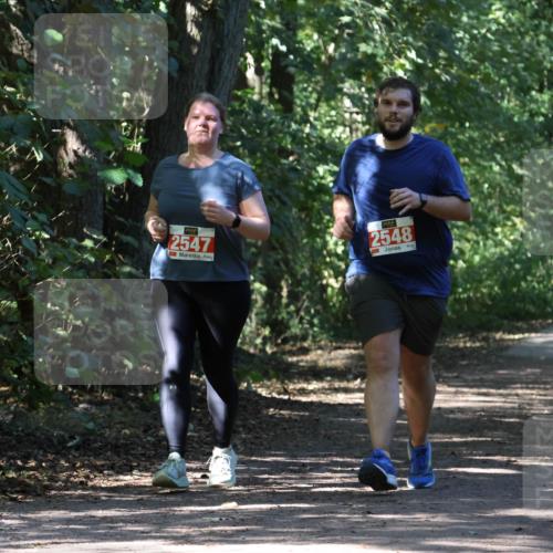 28.09.2025 - 33. Volkslauf durch das schöne Alstertal Strokosch-Dieckow http://msf.ph/oto/8974804 28.09.2025 13:03:05 Laufen 2547, 2548 meine-sportfotos.de