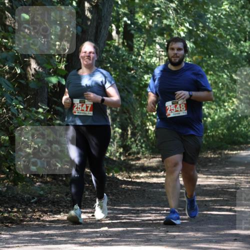28.09.2025 - 33. Volkslauf durch das schöne Alstertal Strokosch-Dieckow http://msf.ph/oto/8974805 28.09.2025 13:03:05 Laufen 2547, 2548 meine-sportfotos.de