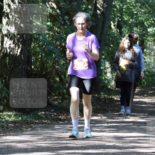 28.09.2025 - 33. Volkslauf durch das schöne Alstertal Strokosch-Dieckow http://msf.ph/oto/8974818 28.09.2025 13:04:16 Laufen 2092 meine-sportfotos.de