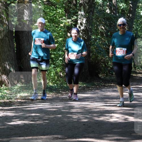 28.09.2025 - 33. Volkslauf durch das schöne Alstertal Strokosch-Dieckow http://msf.ph/oto/8974825 28.09.2025 13:05:56 Laufen 2001, 2002, 2003 meine-sportfotos.de