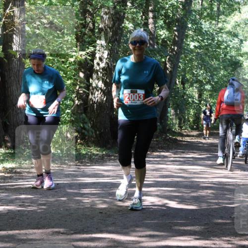 28.09.2025 - 33. Volkslauf durch das schöne Alstertal Strokosch-Dieckow http://msf.ph/oto/8974830 28.09.2025 13:05:57 Laufen 2001, 2003 meine-sportfotos.de