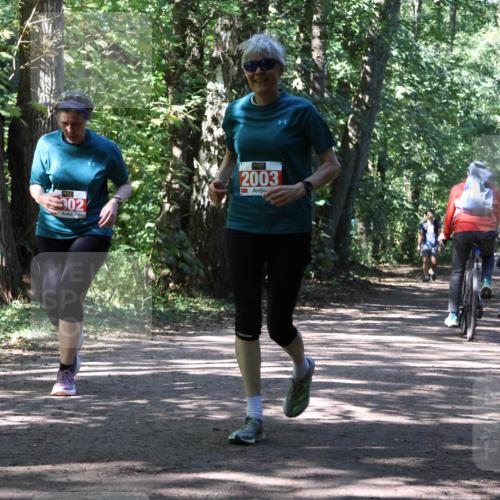 28.09.2025 - 33. Volkslauf durch das schöne Alstertal Strokosch-Dieckow http://msf.ph/oto/8974834 28.09.2025 13:05:58 Laufen 2001, 02, 2003 meine-sportfotos.de