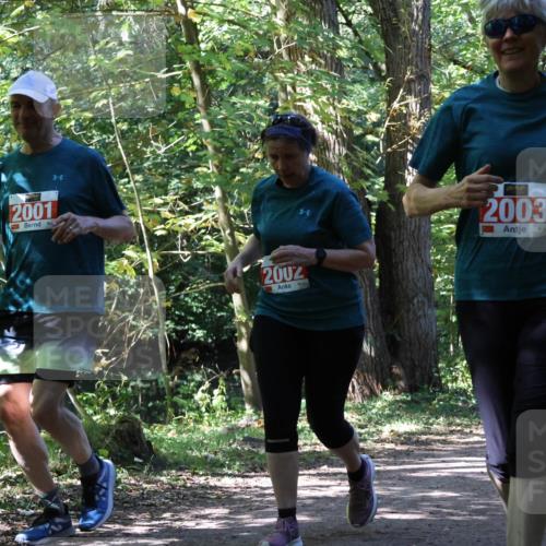 28.09.2025 - 33. Volkslauf durch das schöne Alstertal Strokosch-Dieckow http://msf.ph/oto/8974839 28.09.2025 13:05:59 Laufen 2001, 2003, 2002 meine-sportfotos.de