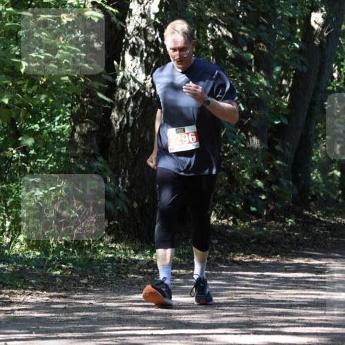 28.09.2025 - 33. Volkslauf durch das schöne Alstertal Strokosch-Dieckow http://msf.ph/oto/8974855 28.09.2025 13:10:35 Laufen 2296 meine-sportfotos.de