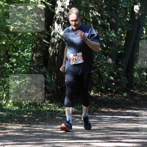 28.09.2025 - 33. Volkslauf durch das schöne Alstertal Strokosch-Dieckow http://msf.ph/oto/8974856 28.09.2025 13:10:35 Laufen 2296 meine-sportfotos.de