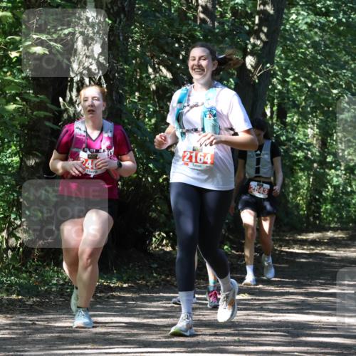 28.09.2025 - 33. Volkslauf durch das schöne Alstertal Strokosch-Dieckow http://msf.ph/oto/8974868 28.09.2025 13:14:28 Laufen 240, 2164, 2643 meine-sportfotos.de