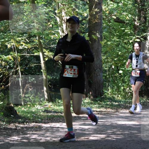 28.09.2025 - 33. Volkslauf durch das schöne Alstertal Strokosch-Dieckow http://msf.ph/oto/8974875 28.09.2025 13:14:33 Laufen 2644, 2643 meine-sportfotos.de