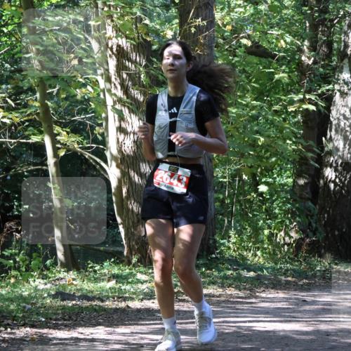 28.09.2025 - 33. Volkslauf durch das schöne Alstertal Strokosch-Dieckow http://msf.ph/oto/8974882 28.09.2025 13:14:35 Laufen 2643 meine-sportfotos.de