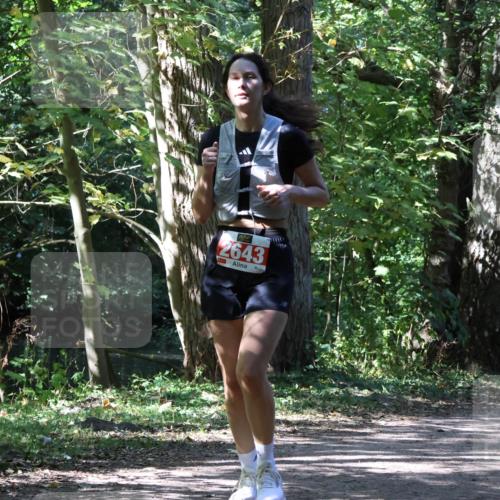 28.09.2025 - 33. Volkslauf durch das schöne Alstertal Strokosch-Dieckow http://msf.ph/oto/8974883 28.09.2025 13:14:35 Laufen 2643 meine-sportfotos.de