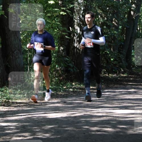 28.09.2025 - 33. Volkslauf durch das schöne Alstertal Strokosch-Dieckow http://msf.ph/oto/8974889 28.09.2025 13:17:31 Laufen 74 meine-sportfotos.de