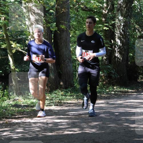 28.09.2025 - 33. Volkslauf durch das schöne Alstertal Strokosch-Dieckow http://msf.ph/oto/8974892 28.09.2025 13:17:32 Laufen 247, 247 meine-sportfotos.de