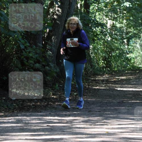28.09.2025 - 33. Volkslauf durch das schöne Alstertal Strokosch-Dieckow http://msf.ph/oto/8974913 28.09.2025 13:35:04 Laufen 22 meine-sportfotos.de