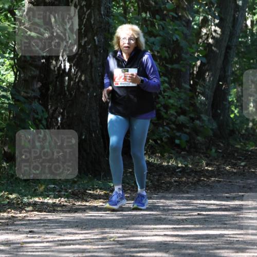 28.09.2025 - 33. Volkslauf durch das schöne Alstertal Strokosch-Dieckow http://msf.ph/oto/8974918 28.09.2025 13:35:06 Laufen 225 meine-sportfotos.de