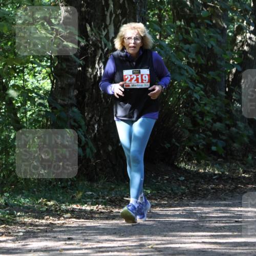 28.09.2025 - 33. Volkslauf durch das schöne Alstertal Strokosch-Dieckow http://msf.ph/oto/8974924 28.09.2025 13:35:07 Laufen 2219 meine-sportfotos.de