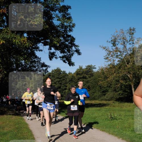28.09.2025 - 33. Volkslauf durch das schöne Alstertal Fabian Wolf http://msf.ph/oto/8974952 28.09.2025 10:35:34 Laufen 3937, 3321, 357, 3193 meine-sportfotos.de