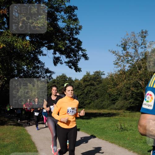 28.09.2025 - 33. Volkslauf durch das schöne Alstertal Fabian Wolf http://msf.ph/oto/8975014 28.09.2025 10:35:40 Laufen 30, 3236 meine-sportfotos.de