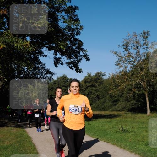 28.09.2025 - 33. Volkslauf durch das schöne Alstertal Fabian Wolf http://msf.ph/oto/8975016 28.09.2025 10:35:41 Laufen 3236, 3177 meine-sportfotos.de