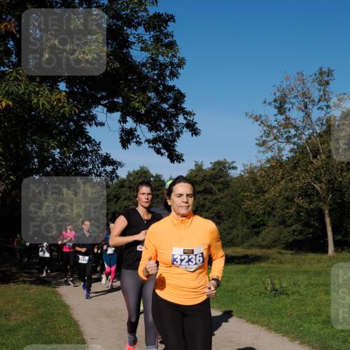 28.09.2025 - 33. Volkslauf durch das schöne Alstertal Fabian Wolf http://msf.ph/oto/8975019 28.09.2025 10:35:41 Laufen 3177, 3236 meine-sportfotos.de