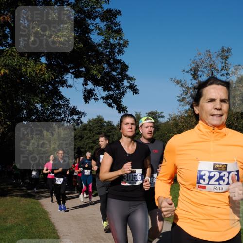 28.09.2025 - 33. Volkslauf durch das schöne Alstertal Fabian Wolf http://msf.ph/oto/8975028 28.09.2025 10:35:41 Laufen 3177, 3056, 3236 meine-sportfotos.de