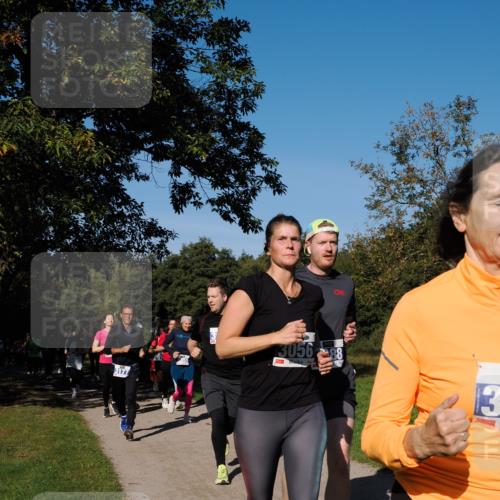 28.09.2025 - 33. Volkslauf durch das schöne Alstertal Fabian Wolf http://msf.ph/oto/8975029 28.09.2025 10:35:42 Laufen 3177, 13056, 1, 88, 13 meine-sportfotos.de