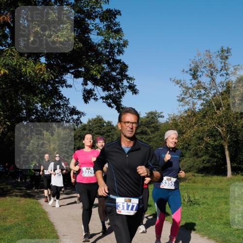 28.09.2025 - 33. Volkslauf durch das schöne Alstertal Fabian Wolf http://msf.ph/oto/8975041 28.09.2025 10:35:44 Laufen 318, 3329, 3177, 3355 meine-sportfotos.de