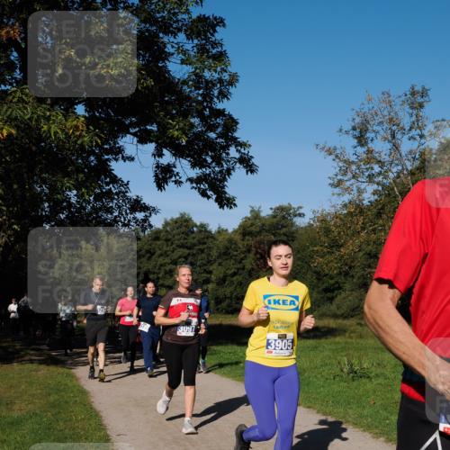 28.09.2025 - 33. Volkslauf durch das schöne Alstertal Fabian Wolf http://msf.ph/oto/8975126 28.09.2025 10:35:56 Laufen 199, 3097, 3905 meine-sportfotos.de
