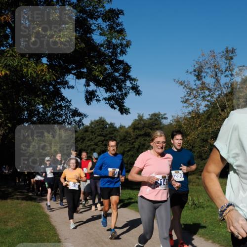 28.09.2025 - 33. Volkslauf durch das schöne Alstertal Fabian Wolf http://msf.ph/oto/8975163 28.09.2025 10:36:03 Laufen 3402, 3141, 3280 meine-sportfotos.de