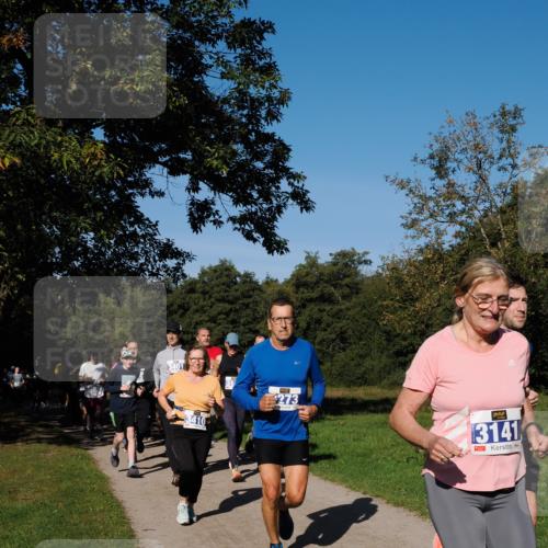 28.09.2025 - 33. Volkslauf durch das schöne Alstertal Fabian Wolf http://msf.ph/oto/8975168 28.09.2025 10:36:03 Laufen 273, 3141 meine-sportfotos.de