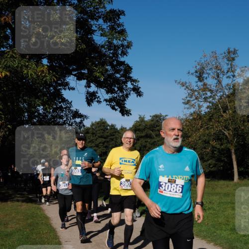 28.09.2025 - 33. Volkslauf durch das schöne Alstertal Fabian Wolf http://msf.ph/oto/8975243 28.09.2025 10:36:13 Laufen 3012, 3003, 390, 3086 meine-sportfotos.de
