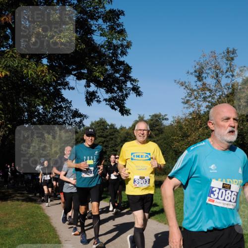28.09.2025 - 33. Volkslauf durch das schöne Alstertal Fabian Wolf http://msf.ph/oto/8975246 28.09.2025 10:36:13 Laufen 195, 3903, 3086 meine-sportfotos.de