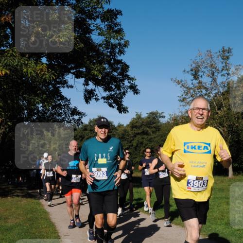 28.09.2025 - 33. Volkslauf durch das schöne Alstertal Fabian Wolf http://msf.ph/oto/8975252 28.09.2025 10:36:14 Laufen 3195, 3405, 2025, 3003, 3242, 3242, 3903 meine-sportfotos.de