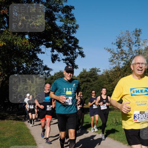 28.09.2025 - 33. Volkslauf durch das schöne Alstertal Fabian Wolf http://msf.ph/oto/8975255 28.09.2025 10:36:14 Laufen 3405, 2025, 03, 30223242, 3195, 3903 meine-sportfotos.de