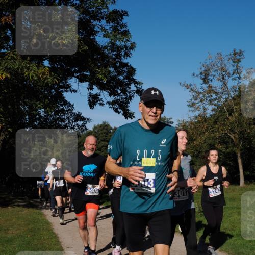 28.09.2025 - 33. Volkslauf durch das schöne Alstertal Fabian Wolf http://msf.ph/oto/8975261 28.09.2025 10:36:15 Laufen 3195, 2025, 39, 3405, 3, 3012, 3242 meine-sportfotos.de