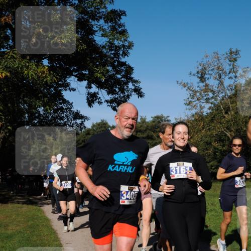 28.09.2025 - 33. Volkslauf durch das schöne Alstertal Fabian Wolf http://msf.ph/oto/8975270 28.09.2025 10:36:16 Laufen 3195, 3405, 316, 302 meine-sportfotos.de
