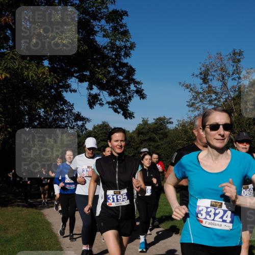 28.09.2025 - 33. Volkslauf durch das schöne Alstertal Fabian Wolf http://msf.ph/oto/8975286 28.09.2025 10:36:18 Laufen 33, 3195, 16, 3324, 069 meine-sportfotos.de