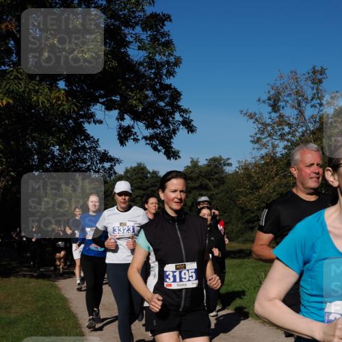 28.09.2025 - 33. Volkslauf durch das schöne Alstertal Fabian Wolf http://msf.ph/oto/8975288 28.09.2025 10:36:18 Laufen 3323, 3195 meine-sportfotos.de