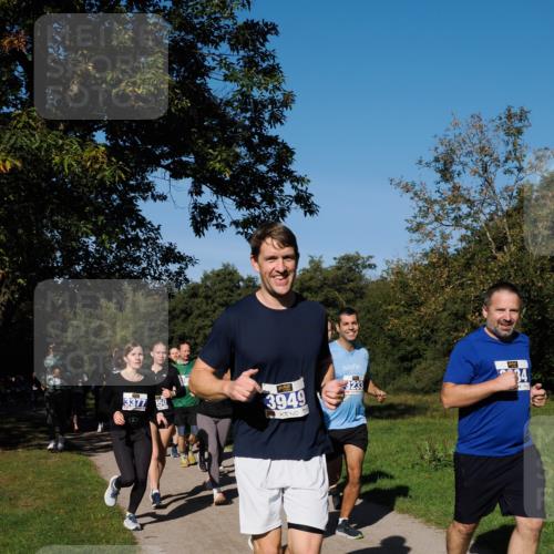28.09.2025 - 33. Volkslauf durch das schöne Alstertal Fabian Wolf http://msf.ph/oto/8975322 28.09.2025 10:36:21 Laufen 3377, 150, 3949, 3233, 34 meine-sportfotos.de