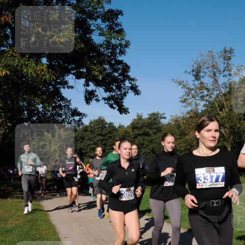 28.09.2025 - 33. Volkslauf durch das schöne Alstertal Fabian Wolf http://msf.ph/oto/8975335 28.09.2025 10:36:23 Laufen 3348, 3050, 30, 3377 meine-sportfotos.de