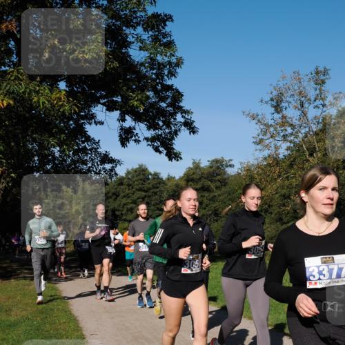 28.09.2025 - 33. Volkslauf durch das schöne Alstertal Fabian Wolf http://msf.ph/oto/8975336 28.09.2025 10:36:23 Laufen 3123, 13050, 3377 meine-sportfotos.de